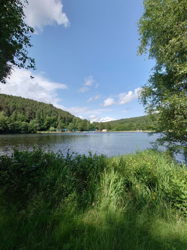Blick über den Gelterswoog auf den bewaldeten Hügel