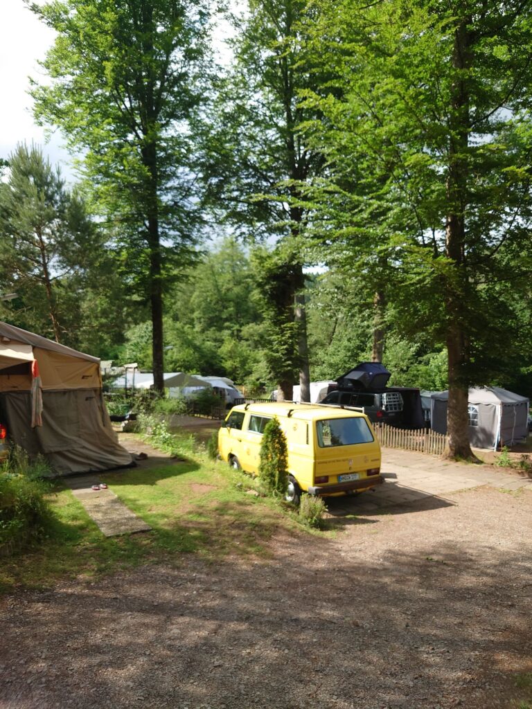 Zelte und Campingbus auf einer grünen Campingfläche